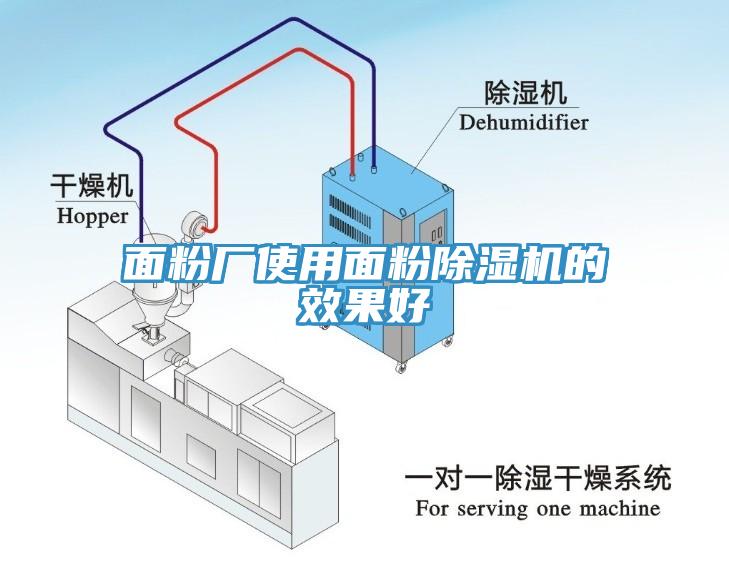 面粉厂使用面粉好色先生免费APP的效果好