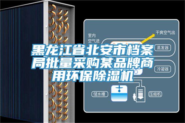 黑龙江省北安市档案局批量采购某品牌商用环保好色先生免费APP