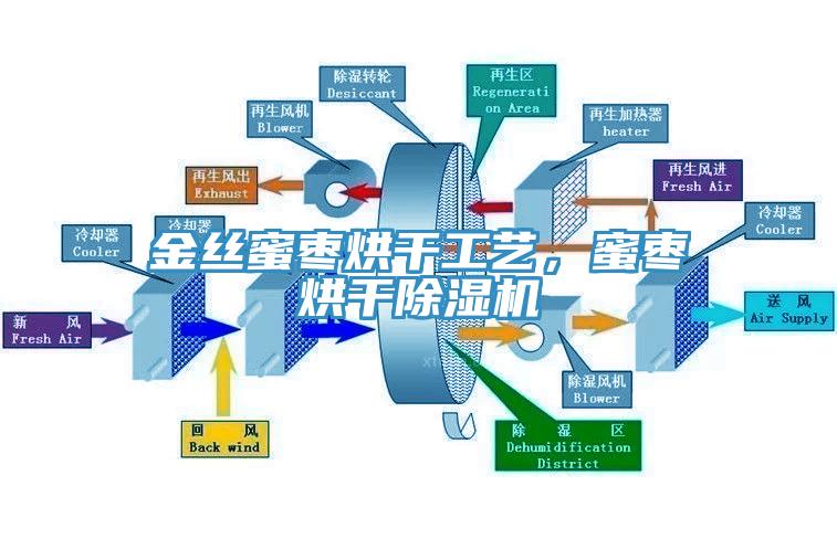 金丝蜜枣烘干工艺，蜜枣烘干好色先生免费APP