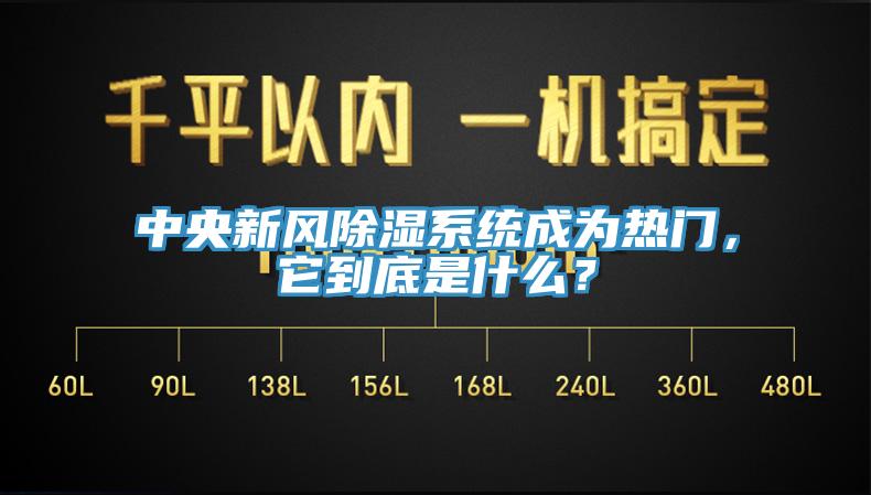 中央新风除湿系统成为热门，它到底是什么？