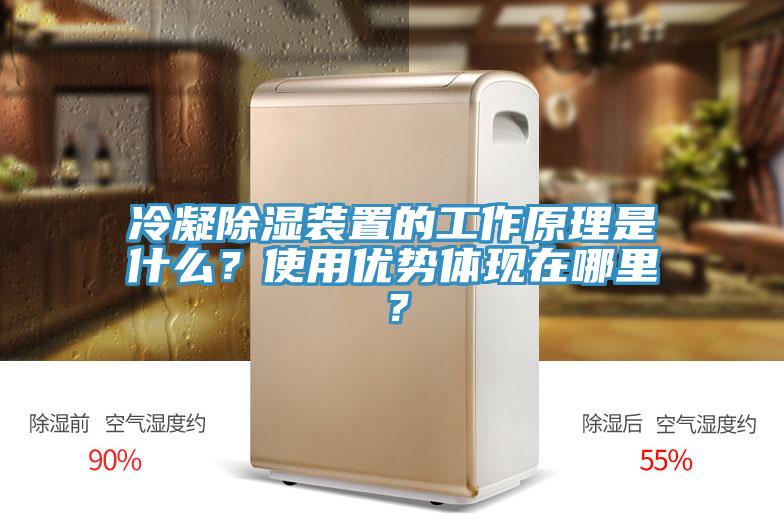 冷凝除湿装置的工作原理是什么？使用优势体现在哪里？