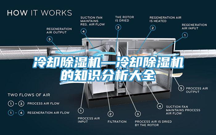 冷却好色先生免费APP—冷却好色先生免费APP的知识分析大全