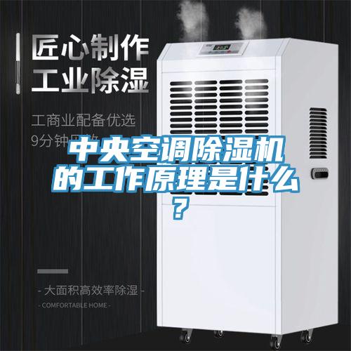 中央空调好色先生免费APP的工作原理是什么？