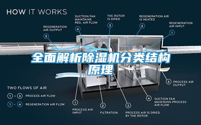 全面解析好色先生免费APP分类结构原理