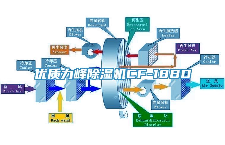 优质力峰好色先生免费APPCF-18BD