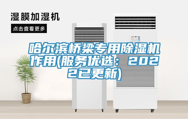 哈尔滨桥梁专用好色先生免费APP作用(服务优选：2022已更新)