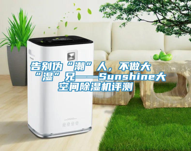 告别伪“潮”人，不做大“湿”兄——Sunshine大空间好色先生免费APP评测